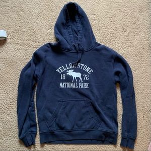 Yellowstone National Park Hoodie💙🖤